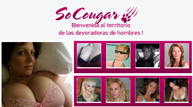 socougar opiniones