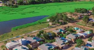 mejores páginas de citas Resistencia