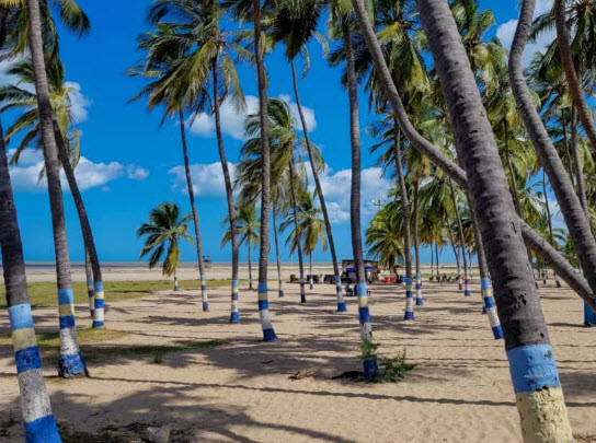 páginas para ligar Riohacha