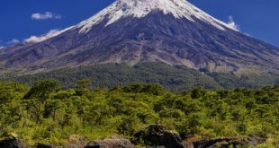 paginas para ligar Osorno