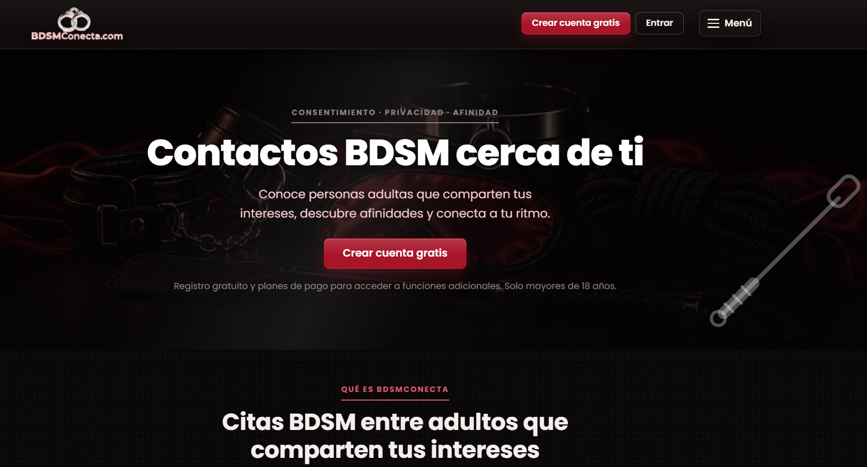 BDSMConecta opiniones: qué ofrece, precios, normas y seguridad